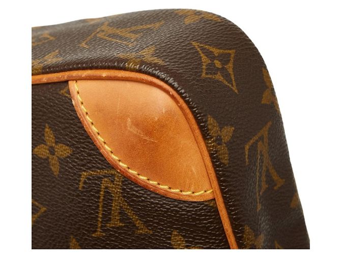 Borsa a tracolla Louis Vuitton Monogram Danube Marrone - vista 6