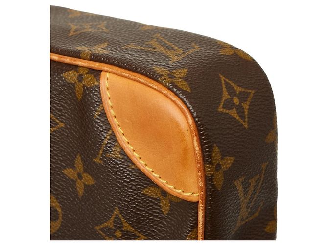 Borsa a tracolla Louis Vuitton Monogram Danube Marrone - vista 7