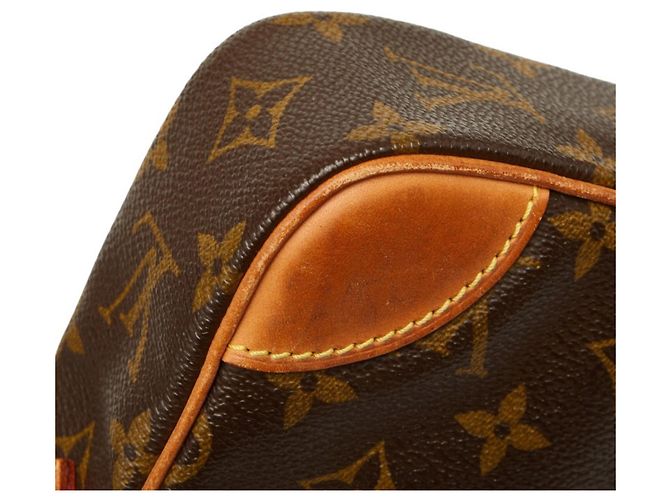 Borsa a tracolla Louis Vuitton Monogram Danube Marrone - vista 8