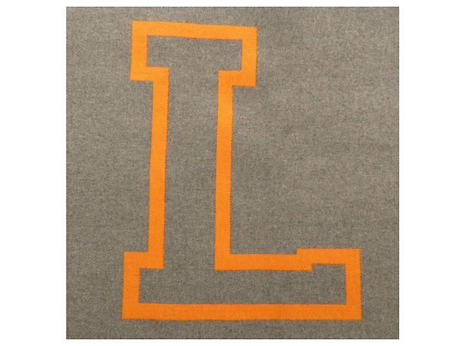 Sciarpa Louis Vuitton City Fluo Marrone Arancione - vista 4