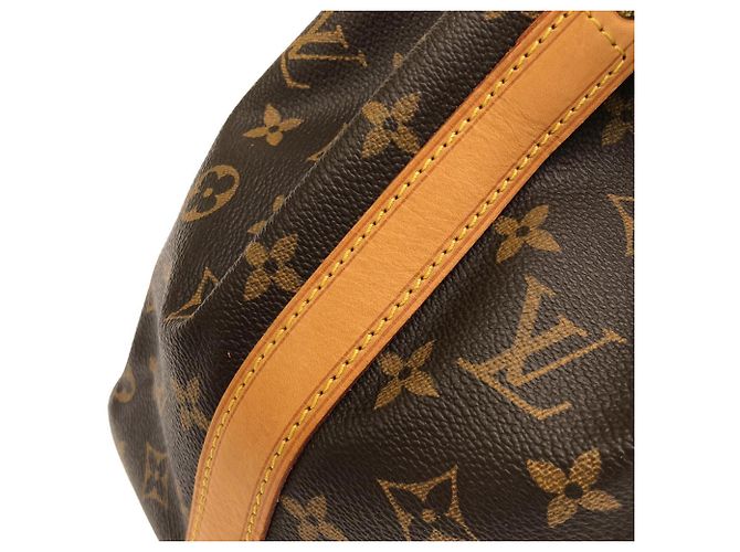 Noe Borsa a tracolla Louis Vuitton Monogram Petit Noé Marrone - vista 4