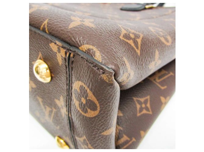Monogram Flower Tote Louis Vuitton M43550 Braun Schwarz - Ansicht 6