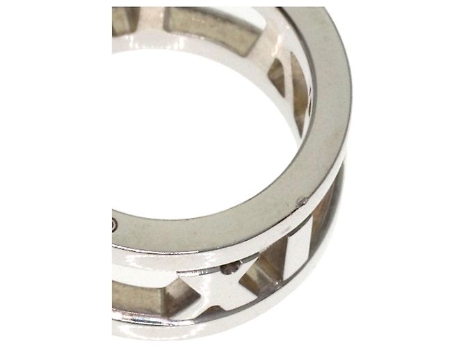 Collana Atlas Circle di Tiffany & Co. - vista 7