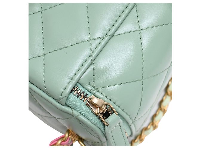 Chanel gestepptes kleines Vanity Case mit Griff und Kette aus hellgrünem Leder - vista 19