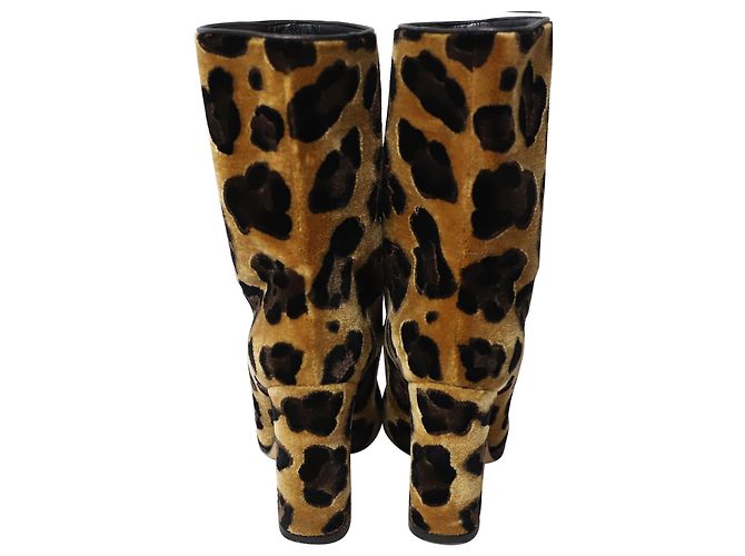 Stivaletti in pelle di vitello con stampa leopardata Dolce & Gabbana Multicolor Velluto - vista 4