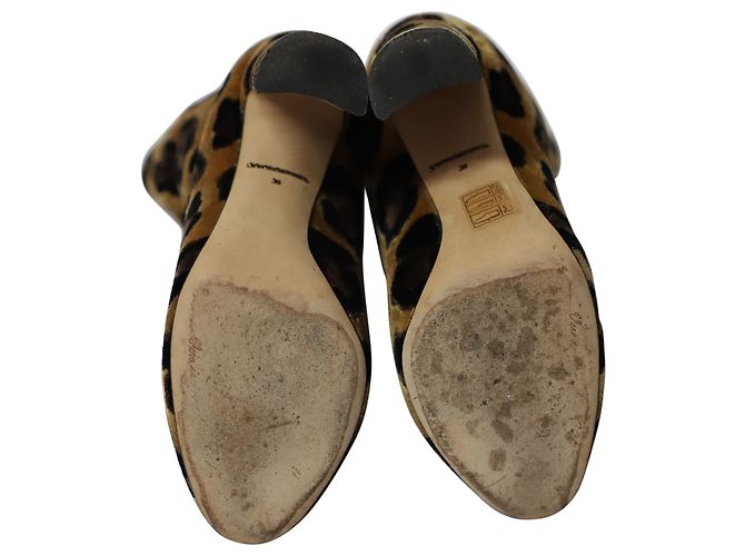 Stivaletti in pelle di vitello con stampa leopardata Dolce & Gabbana Multicolor Velluto - vista 5
