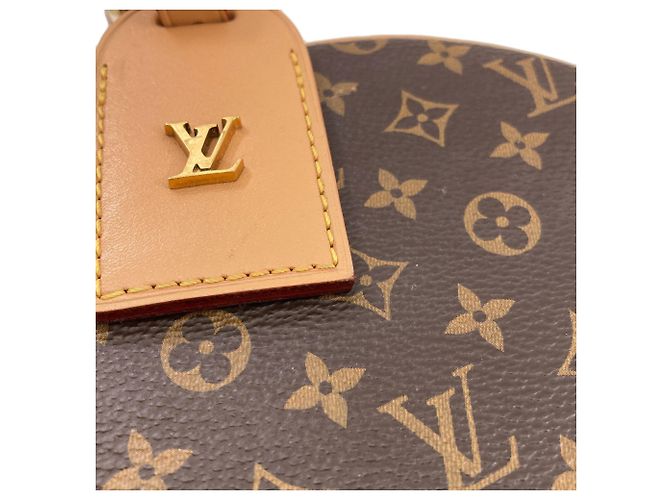 Borsa a Spalla Louis Vuitton Monogram Petite Boite Chapeau Monogramma - vista 9