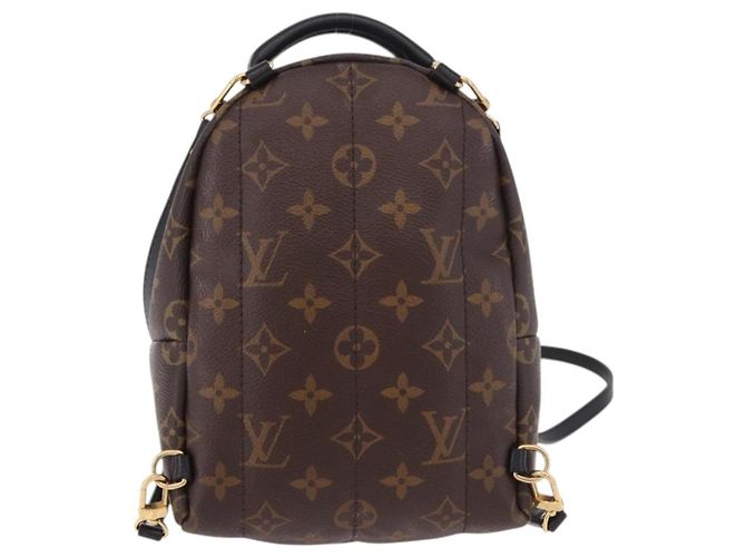 Louis Vuitton Palm Springs Limited Mini Marrone - vista 2