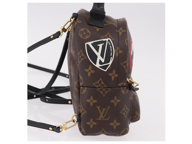 Louis Vuitton Palm Springs Limited Mini Marrone - vista 4