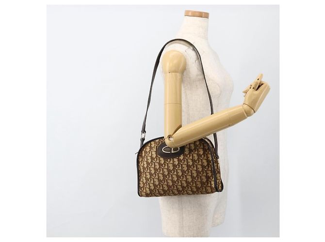 Borsa a tracolla Christian Dior Trotter Canvas Beige Auth BSZ660 - vista 18