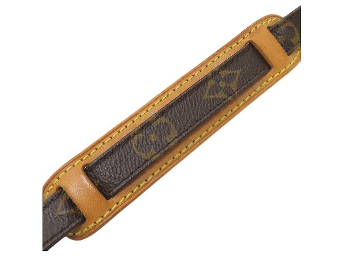 Borsa a Spalla Louis Vuitton Amazon Monogramma - vista 15