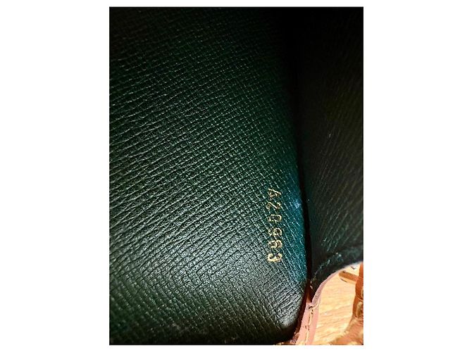 Pochette Louis Vuitton Epi Cuir Marrone - vista 17