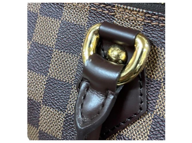 Borsa Louis Vuitton Saleya PM Damier Marrone - vista 10