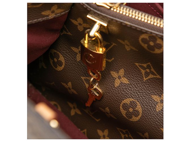 Louis Vuitton Marrone Monogram Montaigne MM - vista 5
