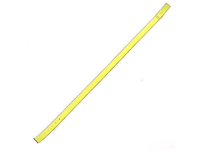 Loewe Anagram Gürtel Grün - Ansicht 4