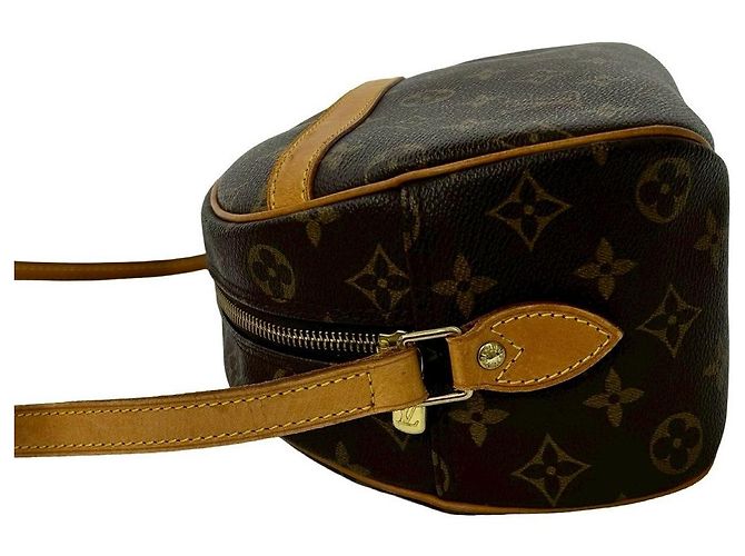 Bolso de hombro de piel Louis Vuitton Monogram Castaño - vista 6