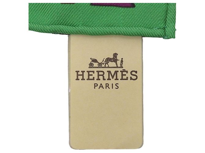 Sciarpa in seta Hermès ZENOBIE REINE DE PALMYRE Verde - vista 9