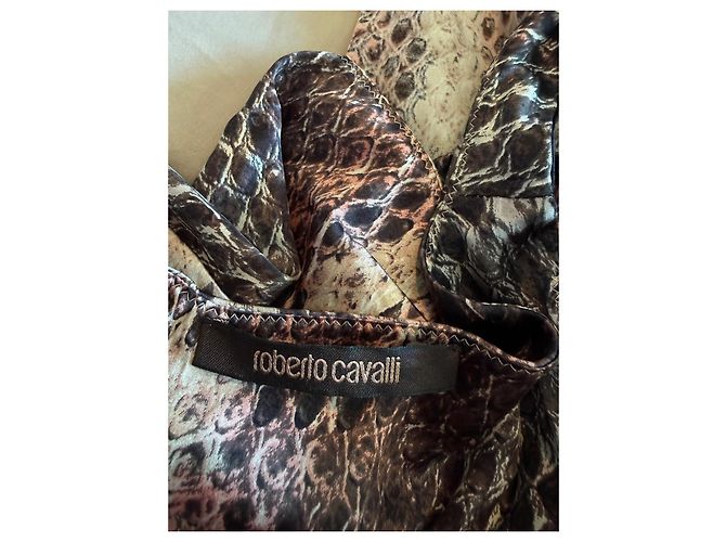 Top de seda con estampado de serpiente Roberto Cavalli con detalle de serpiente dorado Castaño Impresión de pitón Gold hardware - vista 6