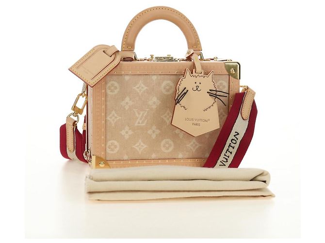 LOUIS VUITTON Bolsa Miaowgram Petite Vallees Bege M14592 LV Auth 190136SM Monograma - vista 12