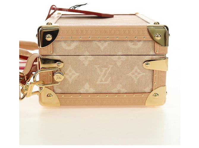 LOUIS VUITTON Bolsa Miaowgram Petite Vallees Bege M14592 LV Auth 190136SM Monograma - vista 3