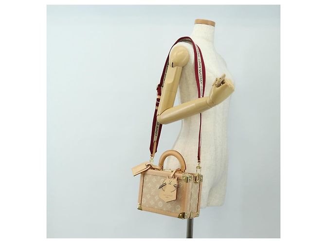 LOUIS VUITTON Bolsa Miaowgram Petite Vallees Bege M14592 LV Auth 190136SM Monograma - vista 36