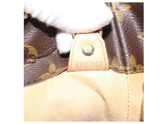 LOUIS VUITTON Borsa Tote Monogram Luco M51155 LV Auth 190865 Monogramma - vista 12