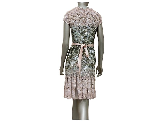 Oscar de la Renta Pre-Fall 2010 Runway Kleid - Größe 2 Gebraucht - Ansicht 2