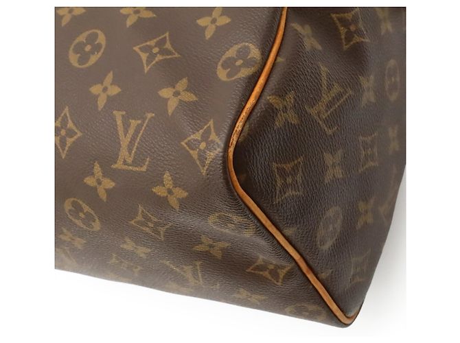 Borsa Louis Vuitton Monogram Speedy 25 M41528 Marrone Monogramma - vista 4