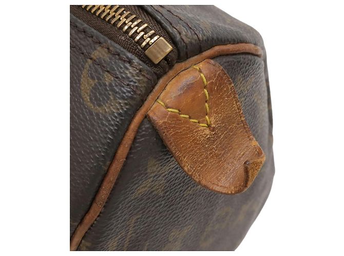 Borsa Louis Vuitton Monogram Speedy 25 Marrone - vista 5