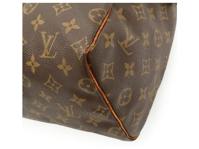 Borsa Louis Vuitton Monogram Speedy 25 M41528 Marrone - vista 4