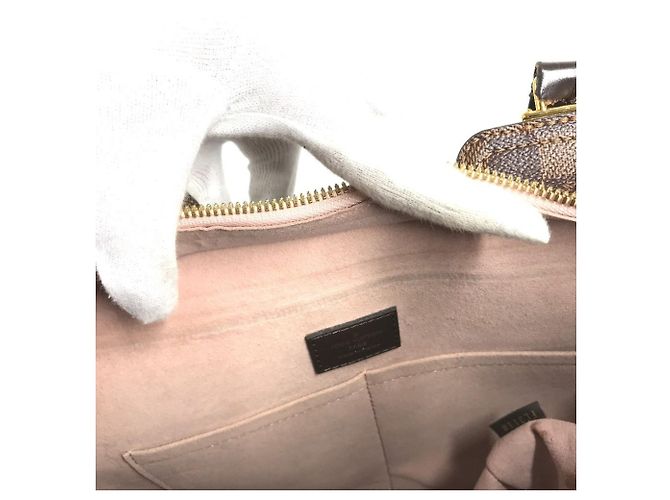Louis Vuitton N44041 Borsa Damier Jersey Marrone Rosa Damier ebene - vista 14