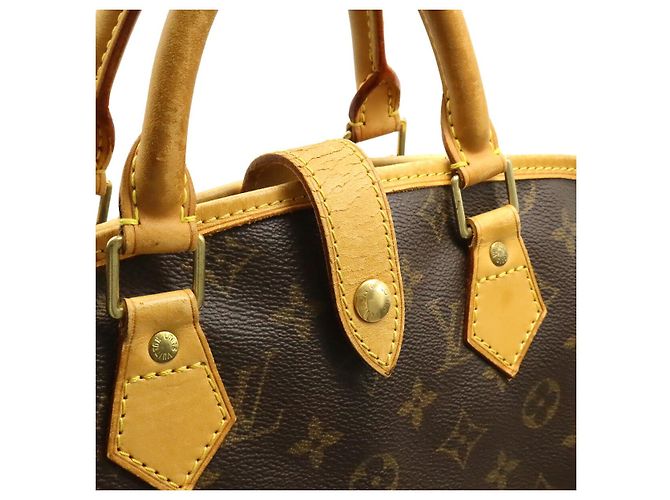 Étui à vêtements Monogram Louis Vuitton Marron - vue 6