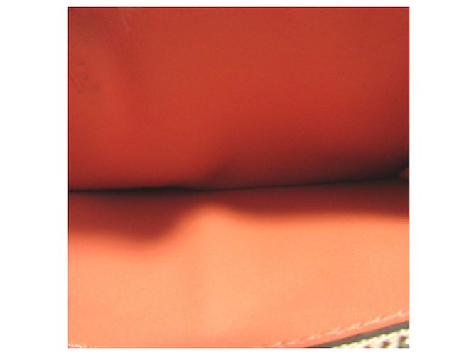 Tarjetero Anagram gris Loewe Castaño - vista 4