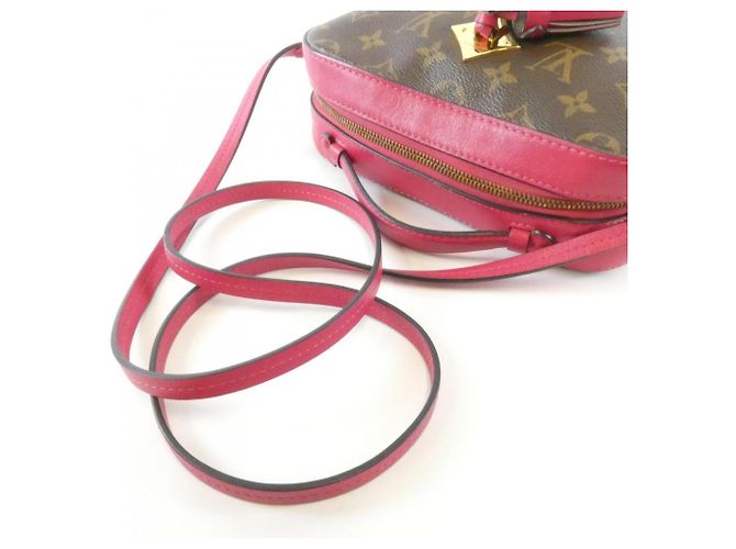 Borsa a tracolla Louis Vuitton Monogram Saint-Onge Marrone - vista 6
