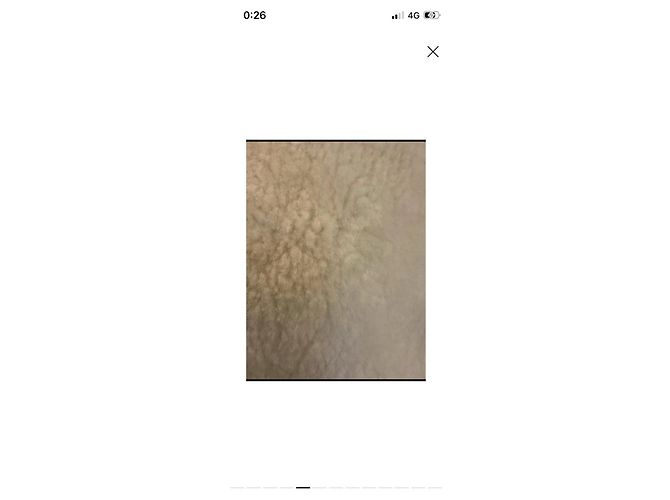 Jacquemus La Veste Piloni Shearling Beige - vista 5