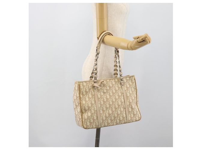 Borsa a tracolla Christian Dior Trotter Canvas Romantic Chain PVC Avorio Auth 190613 Argento Crudo - vista 24