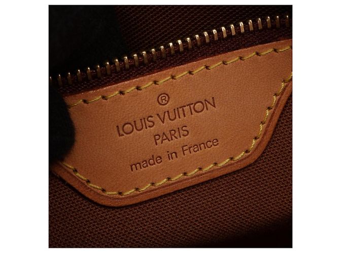 Borsa Louis Vuitton Vavin PM Monogram Marrone Monogramma - vista 4