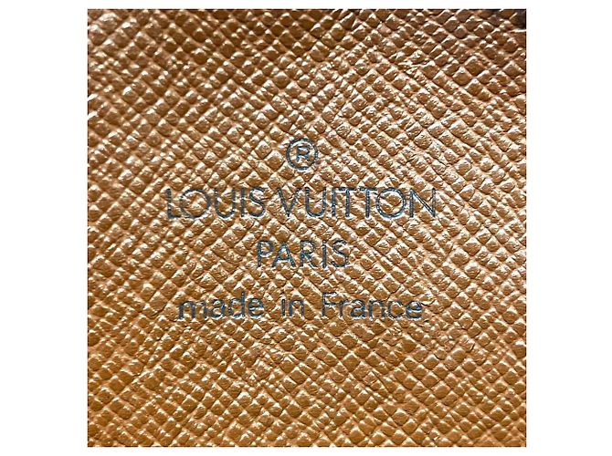Borsa a Spalla Louis Vuitton Amazon Marrone - vista 4