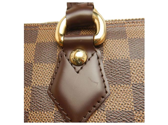 Louis Vuitton Marrone Damier Ebene Saleya MM - vista 16