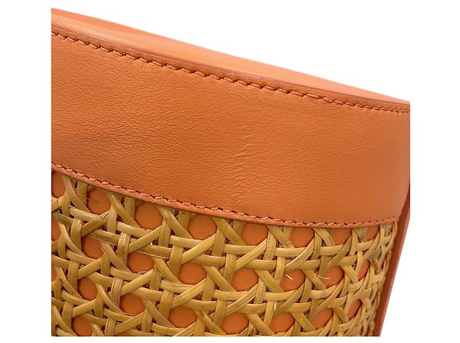 Bulgari Borsa a secchiello Bvlgari Serpenti Arancione - vista 8