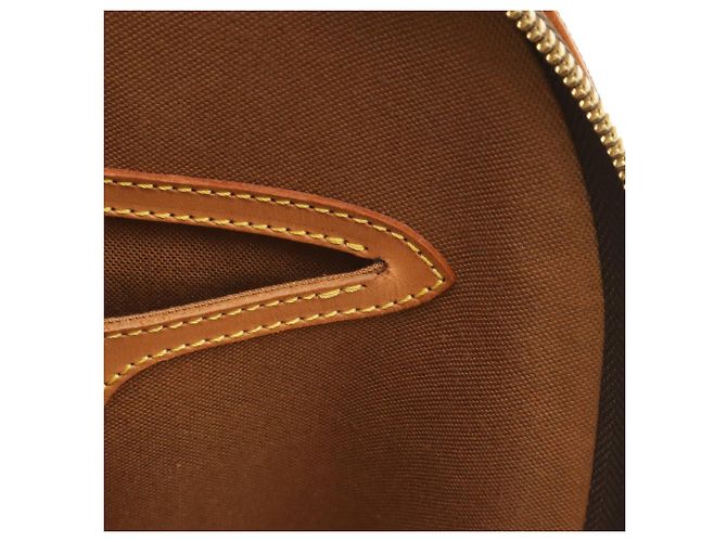 Zaino e Borsa a Spalla Louis Vuitton Monogram Ellipse Sac Marrone - vista 9