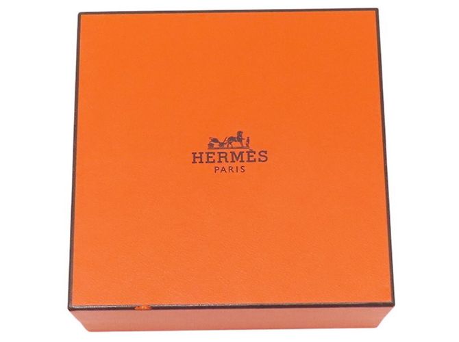 Hermès Boucles d'oreilles Loop Echappé PM Hermes - vue 10