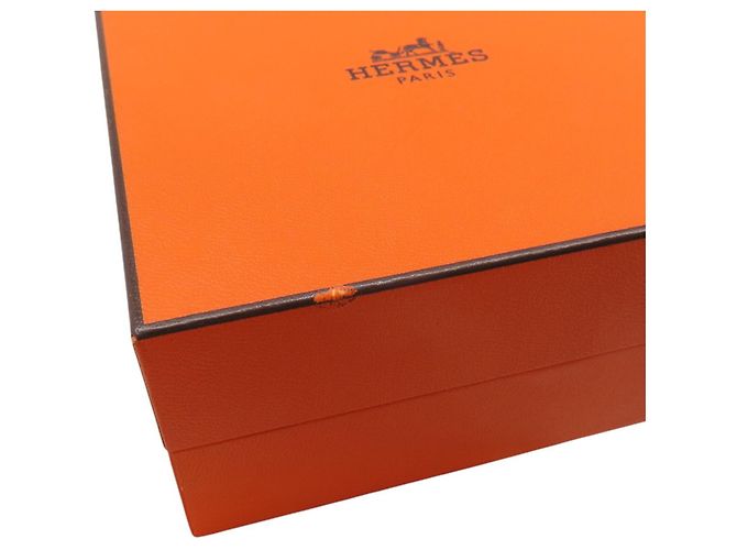 Hermès Boucles d'oreilles Loop Echappé PM Hermes - vue 6