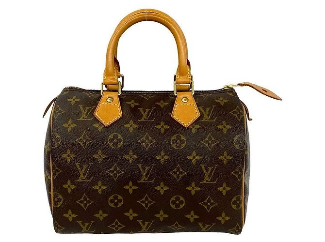 Borsa Louis Vuitton Speedy 25 Monogram Marrone - vista 4