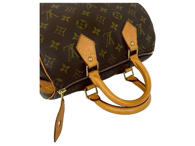 Borsa Louis Vuitton Speedy 25 Monogram Marrone - vista 5