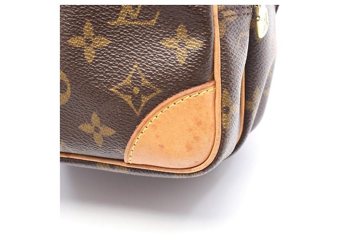 Borsa a Spalla/Borsa a Mano Louis Vuitton Amazon Monogram Marrone Monogramma - vista 6