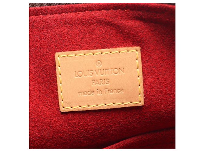 Borsa a Spalla Louis Vuitton Coussin GM Monogram Marrone Monogramma - vista 4
