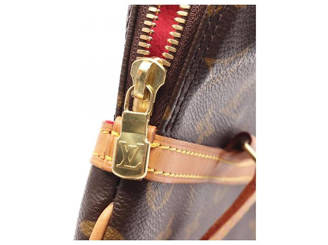 Borsa a Spalla Louis Vuitton Coussin GM Monogram Marrone Monogramma - vista 6