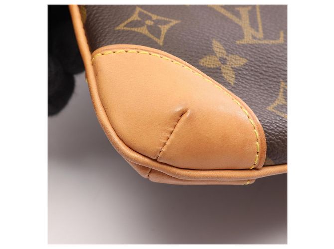 Borsa a Spalla Louis Vuitton Coussin GM Monogram Marrone Monogramma - vista 8