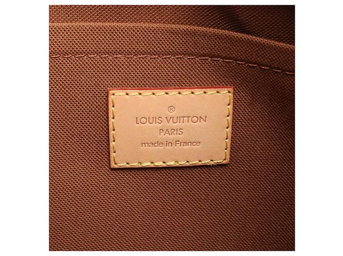 Borsa a Spalla Louis Vuitton Thames PM Marrone Monogramma - vista 4